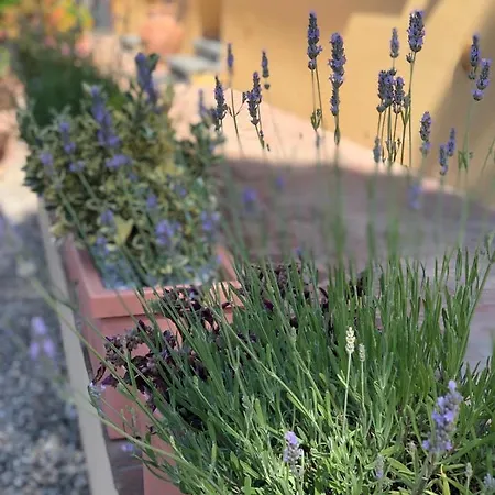 Alloro Frühstückspension 4*