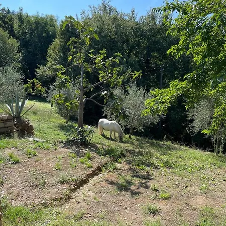 Frühstückspension Alloro