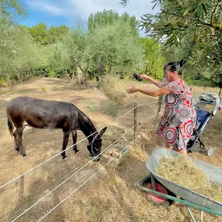 Frühstückspension Alloro