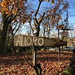 Alloro