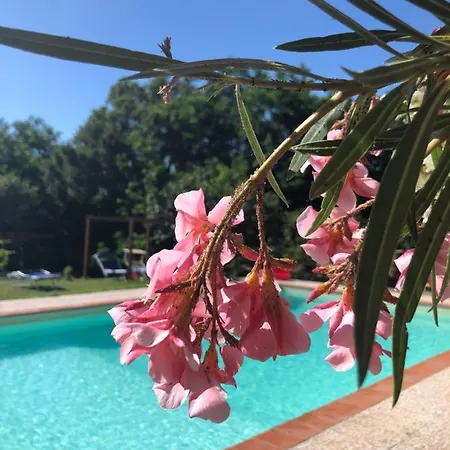 Alloro Alojamento de Acomodação e Pequeno-almoço 4*