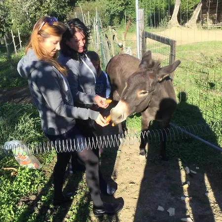 Bed & Breakfast Alloro