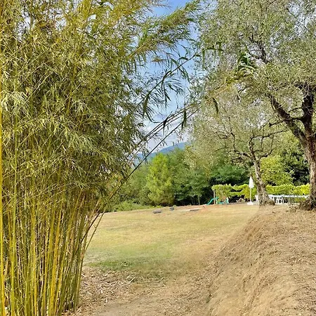 Alloro