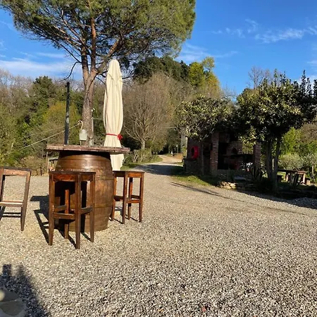 Alloro * Capannori