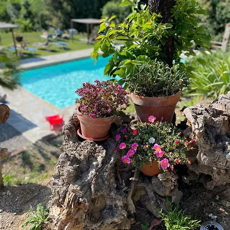 فندق مبيت وإفطار Alloro 4*