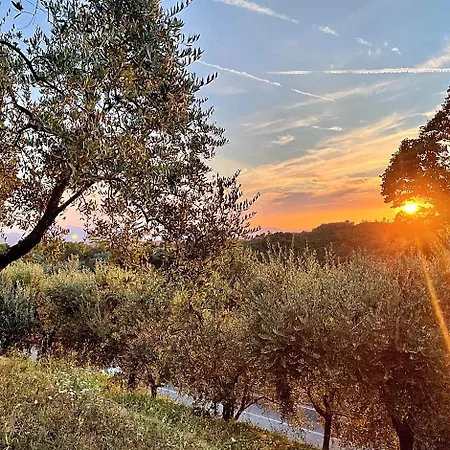B&B Alloro 4*