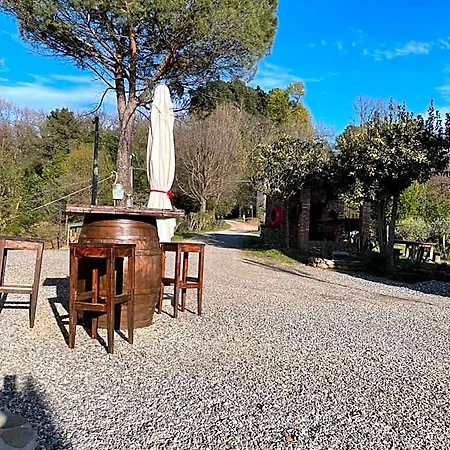 Alloro 4*