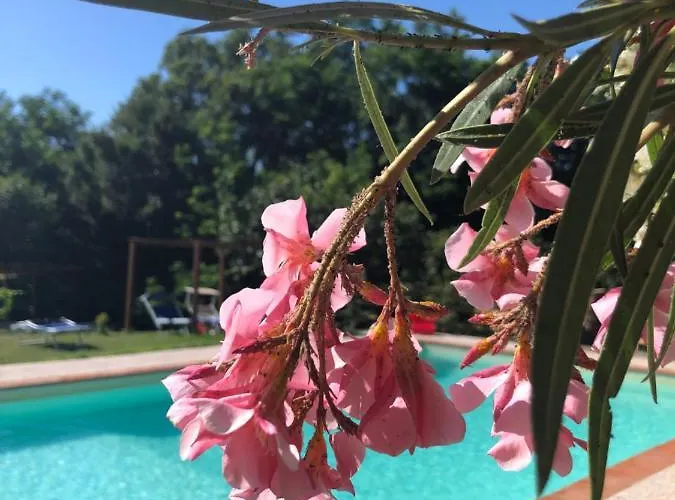 Alloro Отель типа 