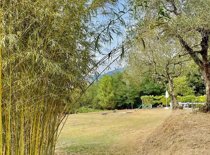 Alloro