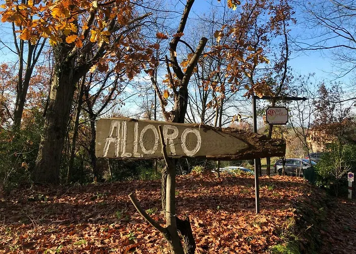 Alloro