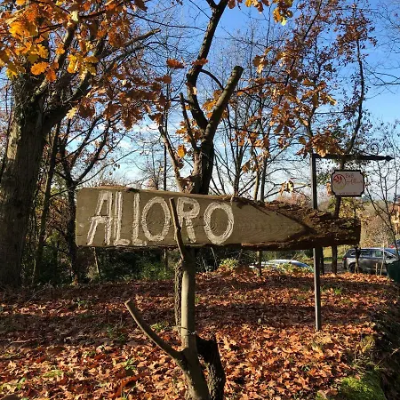 Alloro